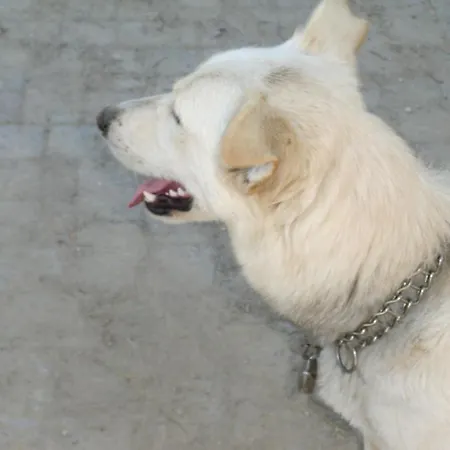 Agriturismo La Meridiana Frabosa Sottana