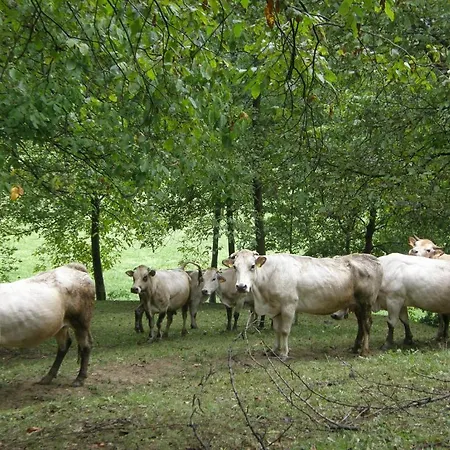 Farma La Meridiana Frabosa Sottana