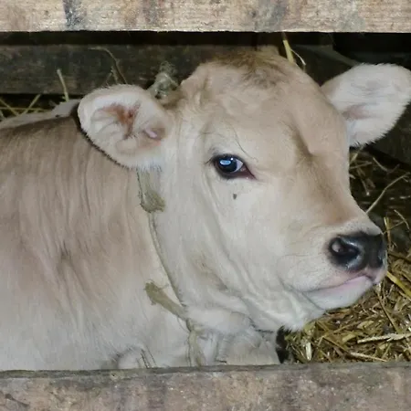 La Meridiana Farmház *