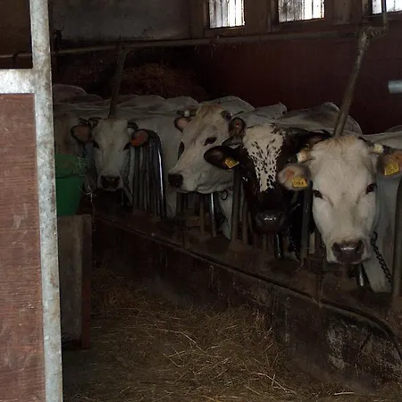 Farma La Meridiana
